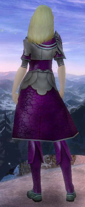 Waldläufer Deldrimor-Rüstung Weiblich hinten.jpg