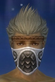 Waldläufer Elite-Cantha-Rüstung Männlich kopf vorne.jpg