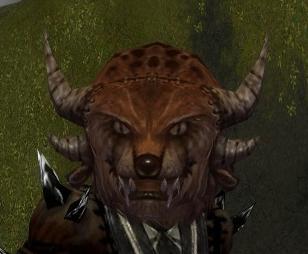 Datei:Charr-Kopfbedeckung Männlich vorne.jpg