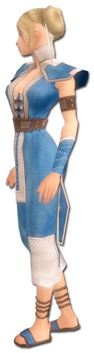 Mönch Kryta-Rüstung Weiblich seite.jpg
