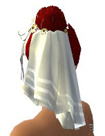 Hochzeits-Kopfschmuck weiblich hinten.jpg