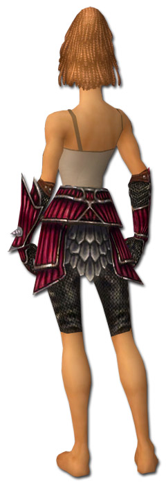 Krieger Wyvernrüstung Weiblich hand bein hinten.jpg