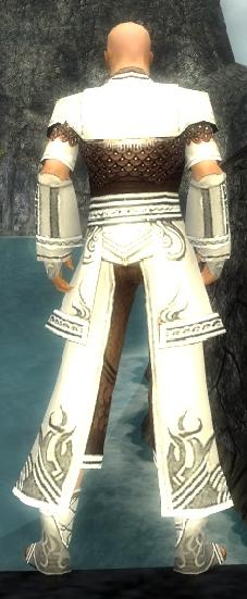 Mönch Deldrimor-Rüstung Männlich hinten.jpg