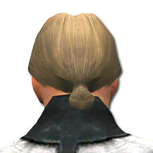 Datei:Mesmer Elite-Kurzick-Rüstung Männlich kopf hinten.jpg