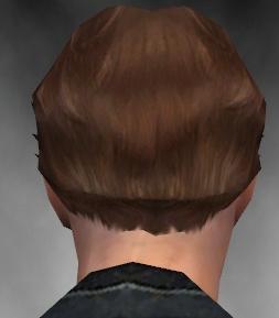 Datei:Mesmer Vaabi-Rüstung Männlich kopf hinten.jpg