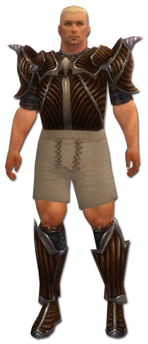 Krieger Wyvernrüstung Männlich brust schuh vorne.jpg