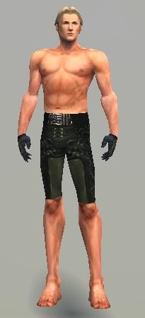 Mesmer Sonnenspeer-Rüstung Männlich hand bein vorne.jpg