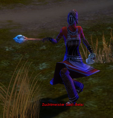 Datei:Zuchtmeister Sadi-Belai.jpg