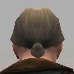 Datei:Mesmer Istan-Rüstung Männlich kopf hinten.jpg