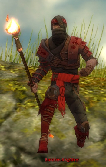 Datei:Banditen-Ringführer.jpg