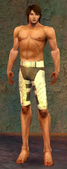 Mesmer Deldrimor-Rüstung Männlich hand bein vorne.jpg