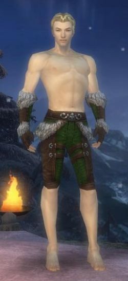 Waldläufer Elite-Pelzverbrämte-Rüstung Männlich hand bein vorne.jpg