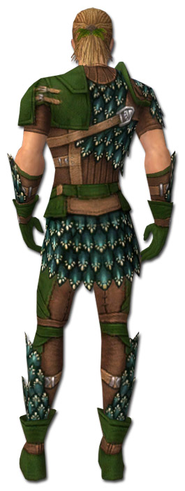 Waldläufer Lindwurmschuppen-Rüstung Männlich hinten.jpg