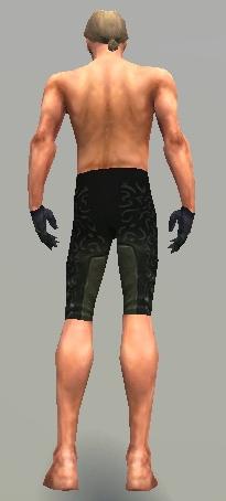 Mesmer Sonnenspeer-Rüstung Männlich hand bein hinten.jpg