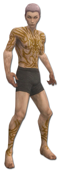 Nekromant Narbenmuster-Rüstung Männlich brust schuh vorne.jpg