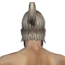 Waldläufer Einfache-Maske Männlich hinten.jpg