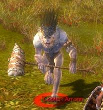 Datei:Cobleri Arronn.jpg