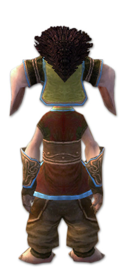 Datei:Vekk Bruderschafts-Rüstung hinten.jpg