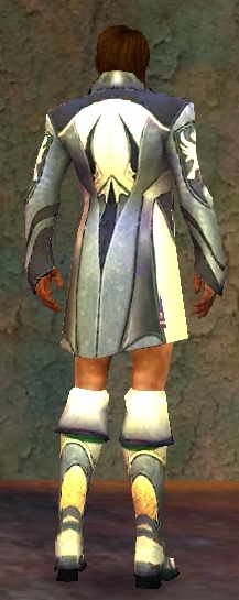 Mesmer Deldrimor-Rüstung Männlich brust schuh hinten.jpg