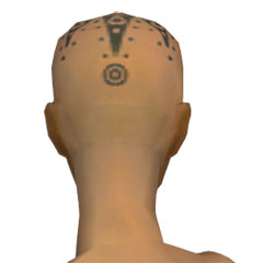 Mönch Sternen-Rüstung Weiblich kopf hinten.jpg