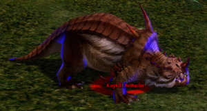 Kaykitt Fellheiler.jpg