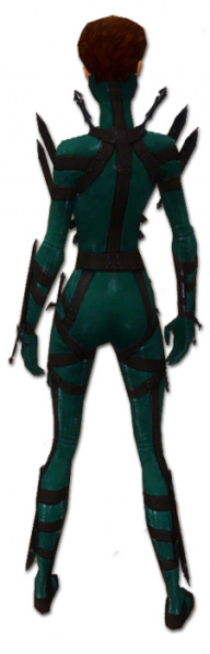 Datei:Assassine Obsidian-Rüstung Weiblich hinten.jpg