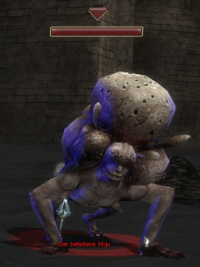 Der befallene Miju.jpg