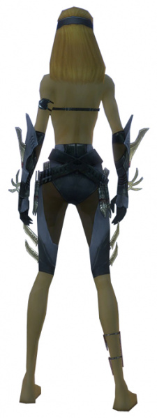 Datei:Assassine Elite-Kaiser-Rüstung Weiblich hand bein hinten.jpg