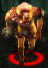 Der befallene Ako.jpg