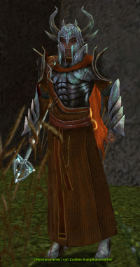 Meistersammler von Zaishen-Kampfkunstwaffen.jpg