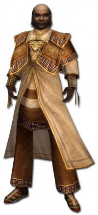 Dunkoro Elite-Sonnenspeer-Rüstung vorne.jpg