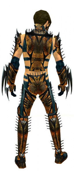 Datei:Assassine Elite-Exoten-Rüstung Männlich hinten.jpg