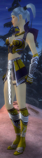 Datei:Elementarmagier Deldrimor-Rüstung Weiblich seite.jpg