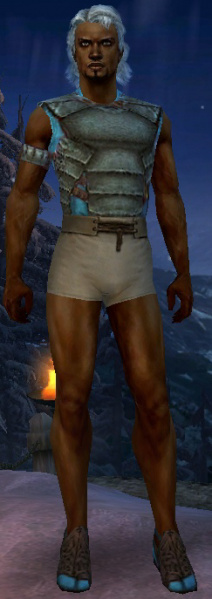 Datei:Derwisch Deldrimor-Rüstung Männlich brust schuh vorne.jpg