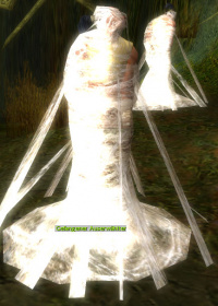 Gefangener Auserwählter.jpg