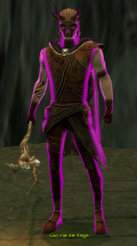 Gao Han der Ringe.jpg