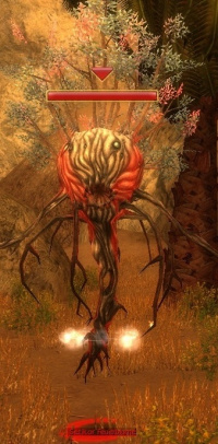 Setikor Feuerblume.jpg