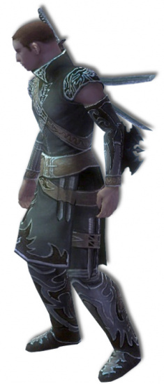 Anton Bruderschafts-Rüstung links.jpg