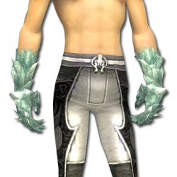 Eiszeit-Stulpenhandschuhe Männlich vorne.jpg