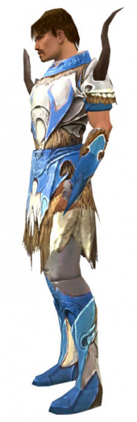 Datei:Paragon Norn-Rüstung Männlich seite.jpg