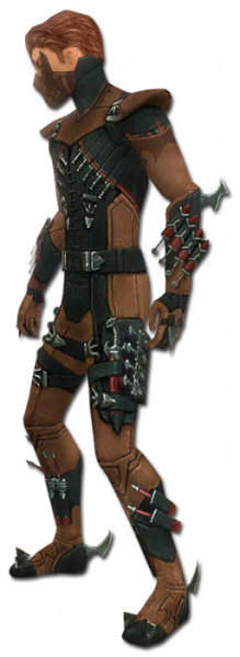 Datei:Assassine Seitung-Rüstung Männlich seite.jpg