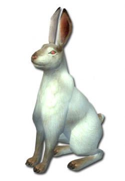 Weißer Hase-Avatar.jpg