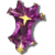 Amethyst-Aegis icon.png