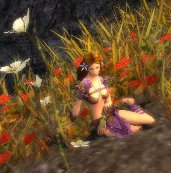 Datei:Benutzer StephanBaruch Lilien Crusoe.jpg