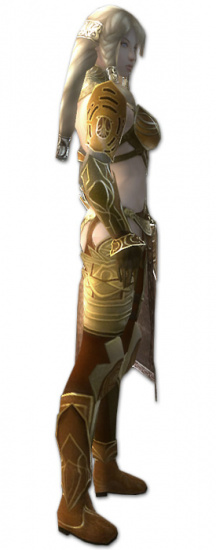 Jora Norn-Rüstung rechts.jpg
