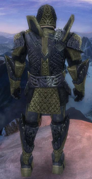 Datei:Krieger Elite-Plattenpanzer-Rüstung Männlich hinten.jpg