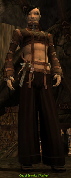 Datei:Cecyl Bromka.jpg