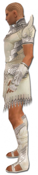 Datei:Paragon Vaabi-Rüstung Männlich seite.jpg