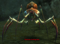 Tödliche Gruftspinne.jpg