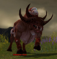 Befallener Bulle.jpg